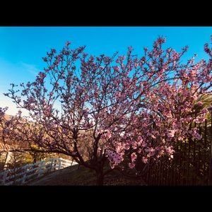 Meet your Posher, Jerry